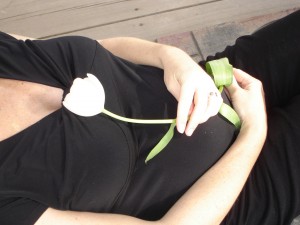 pregnant belly and white tulip